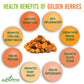 Alovitox Sun Dried Golden Berries | Raw, Fresh & Organic | 1 oz Contains 2g Protein & 5g Fiber, Low-Calorie & Glycemic Index | W