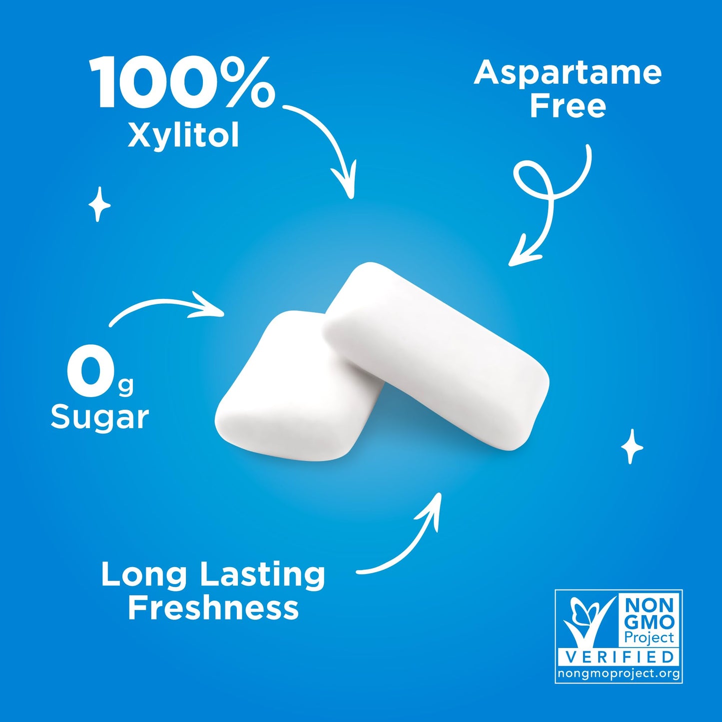 Pur Gum | Aspartame Free Chewing Gum | 100% Xylitol | Natural Peppermint Flavored Gum, 9 Pieces (Pack Of 12)