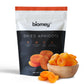 Biomey Big Size Dried Turkish Apricots 2 LB - No Added Sugar - Vegan - Non-GMO - Superfood  Healthy Snack - Great Source of Potassium & Fiber - Gluten Free  Kosher and Vegan