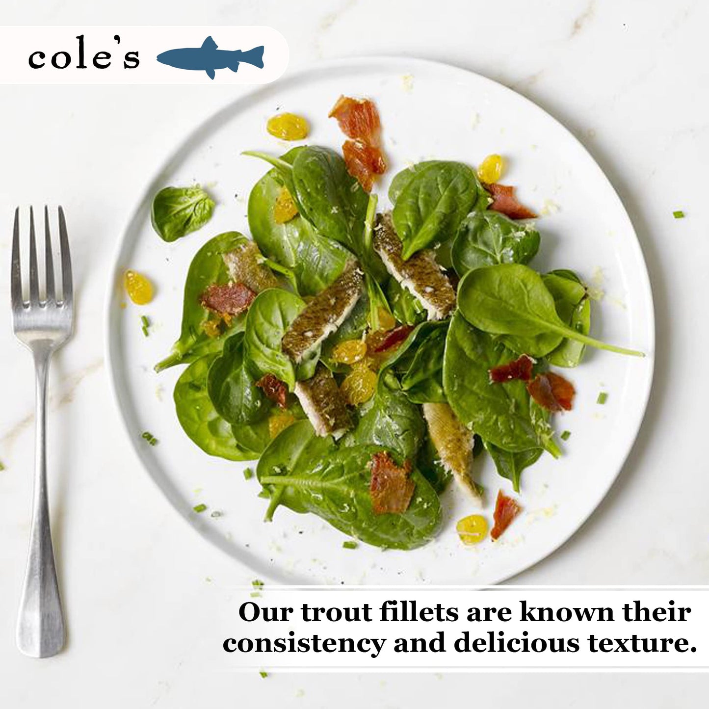 Coles Smoked Trout Fillet with Extra Virgin Olive Oil, 3.2oz Hand-Packed Canned Fish, Pack of 5, High in Protein, Preservative Free