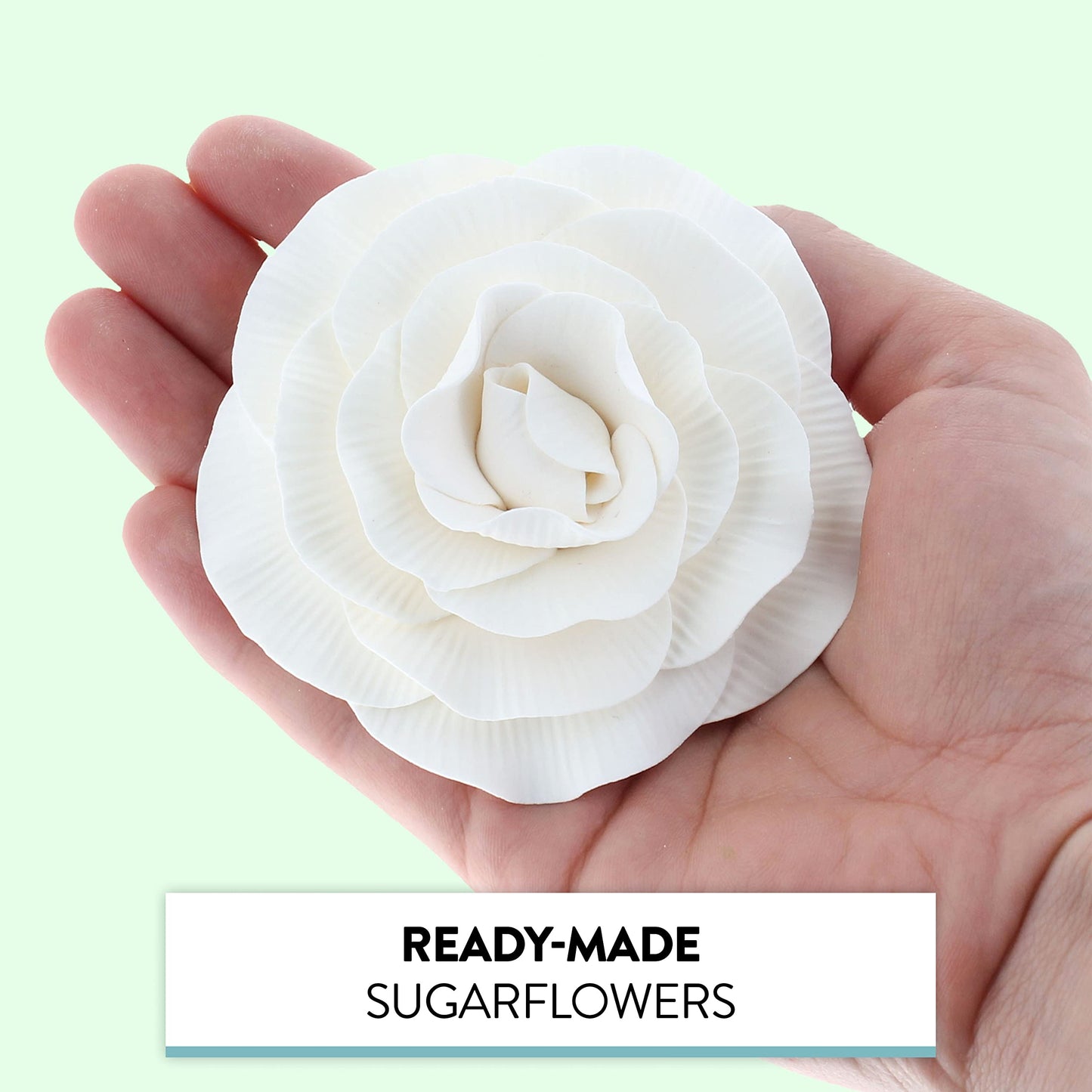 Global Sugar Art Peony Rose Sugar Cake Flowers, White, 4 Count by Chef Alan Tetreault