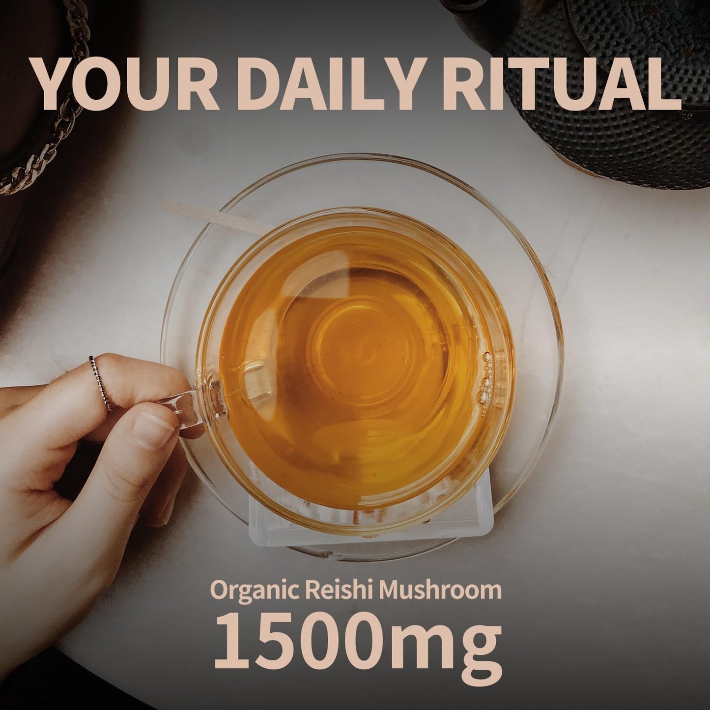 GANOHERB Reishi Mushroom Tea, Caffeine-Free, 25 Count, Adaptogen Ganoderma Lucidum for Immune Health, Stress Relief