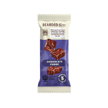 Bearded Brothers Organic Vegan Protein Energy Bars, Chocolate Fudge, Gluten Free, Paleo, 10 Pack