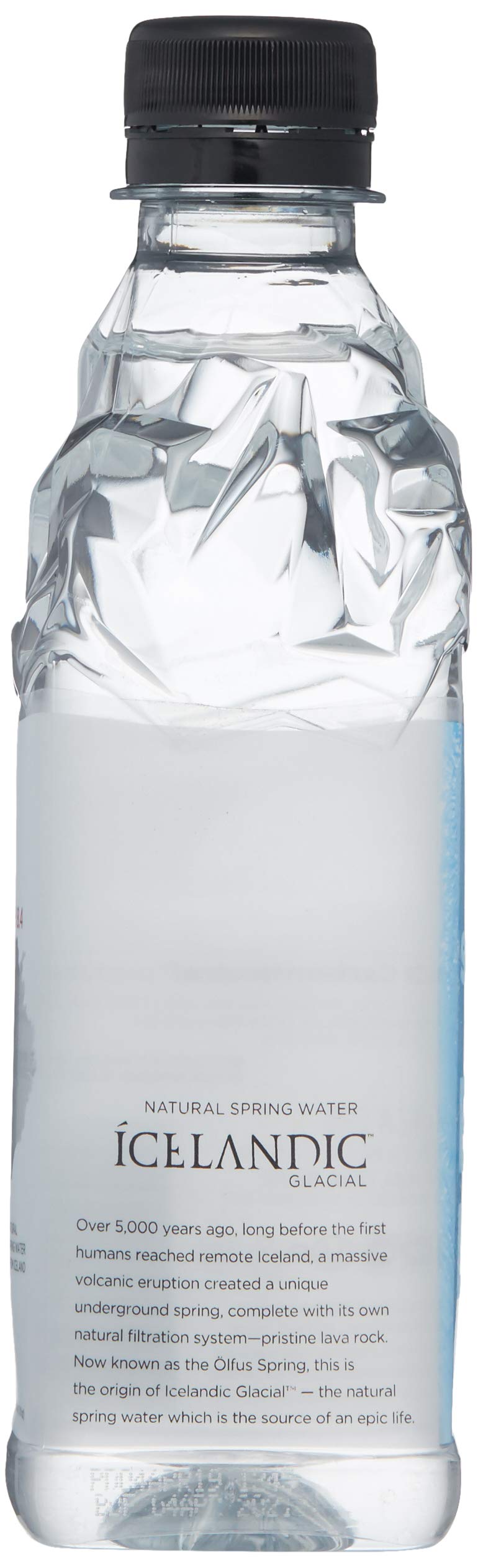 Icelandic Glacial Water  0.73 lb