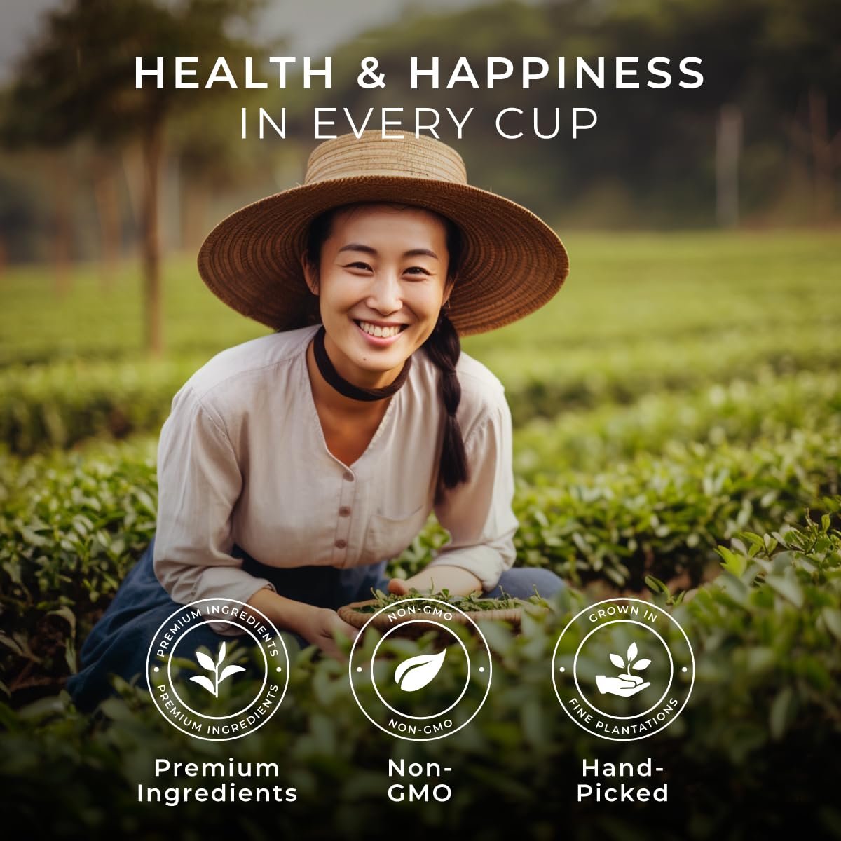 Gya Tea Co Evening Calm Tea Gift Set - Assorted Tea Pods, 16 Count, Vanilla Chai, Peppermint, Jasmine Green, High Mountain