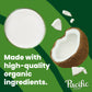 Pacific Foods Organic Unsweetened Coconut Milk, Plant Based Milk, 32 oz Carton (Pack of 6)