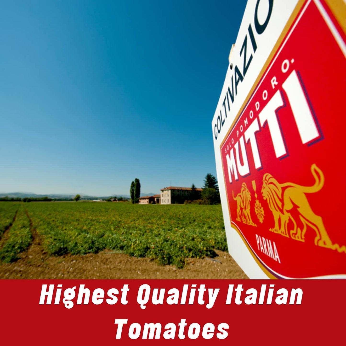 Mutti Positano Sauce For Pizza With Garlic & Oregano, 14 Oz. | Italy’S #1 Brand Of Tomatoes | Pack Of 6 | Tomato Sauce For Pizza | Vegan Friendly & Gluten Free | No Additives Or Preservatives