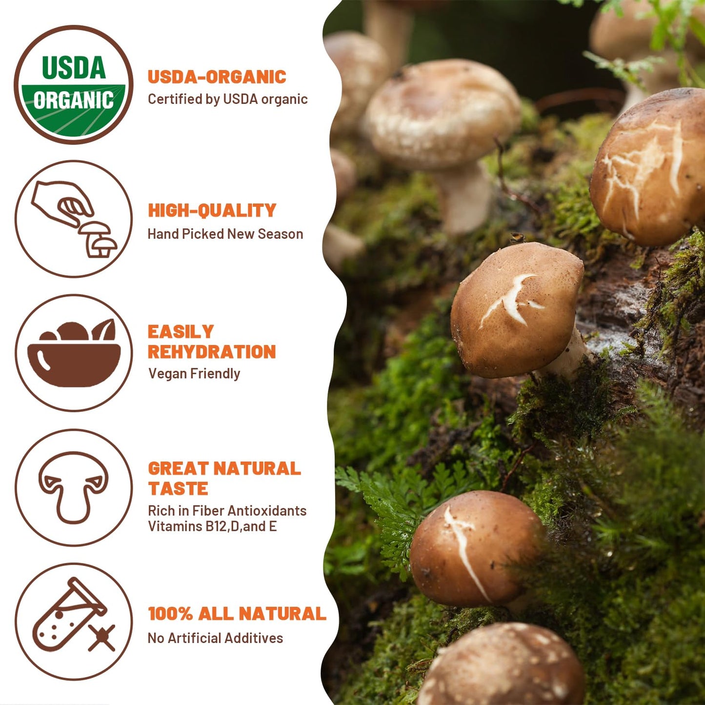 Onetang Organic Natural Dried Mushrooms - Premium Flavors |Aaa Grade Extra Dry Mushrooms For Soups, Sauces, Pasta And Risotto, R
