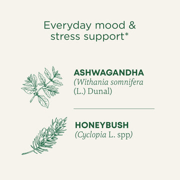 Traditional Medicinals Organic  Stress Ease Calm with Adaptogens  Ashwagandha & Honeybush - Promotes Relaxation - Kosher  Non-GMO  Caffeine-Free  Compostable - 16 Tea Bags