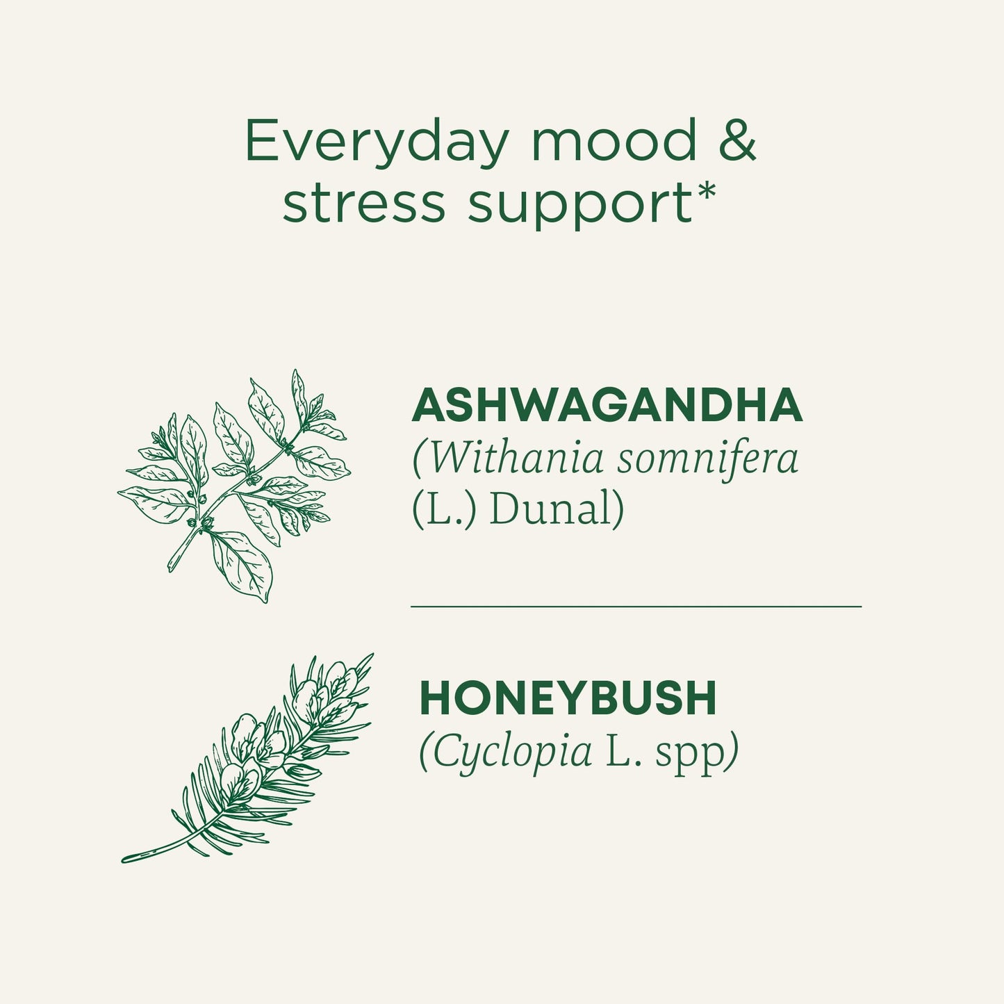 Traditional Medicinals Organic  Stress Ease Calm with Adaptogens  Ashwagandha & Honeybush - Promotes Relaxation - Kosher  Non-GMO  Caffeine-Free  Compostable - 96 Tea Bags (6 Packs of 16)