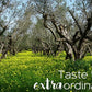 Terra Creta, 100% Koroneiki Variety, Estate Greek Extra Virgin Olive Oil, 3 Ltr (101 Fl.oz) Tin