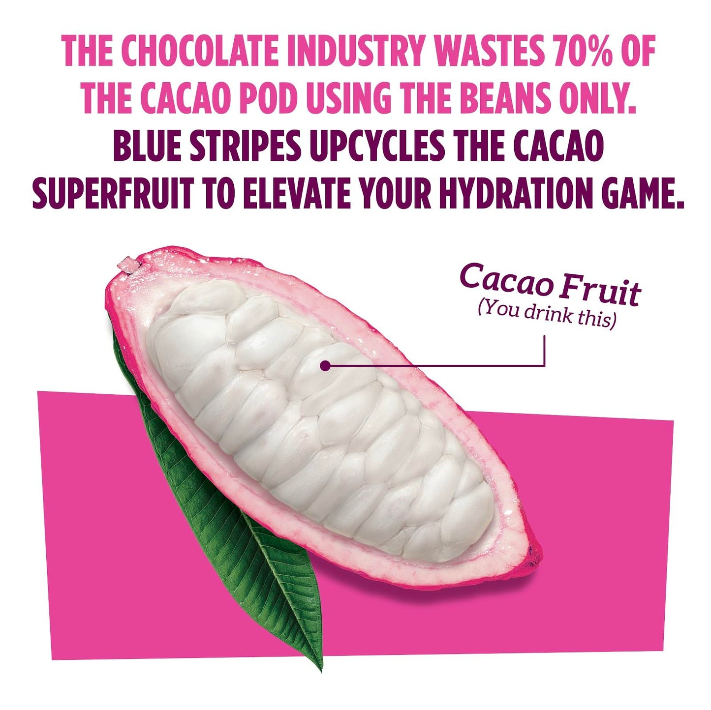 Blue Stripes Cacao Water - Cold Pressed Superfruit Hydration with Electrolytes & Antioxidants, No Sugar Added, All Natural, Grea