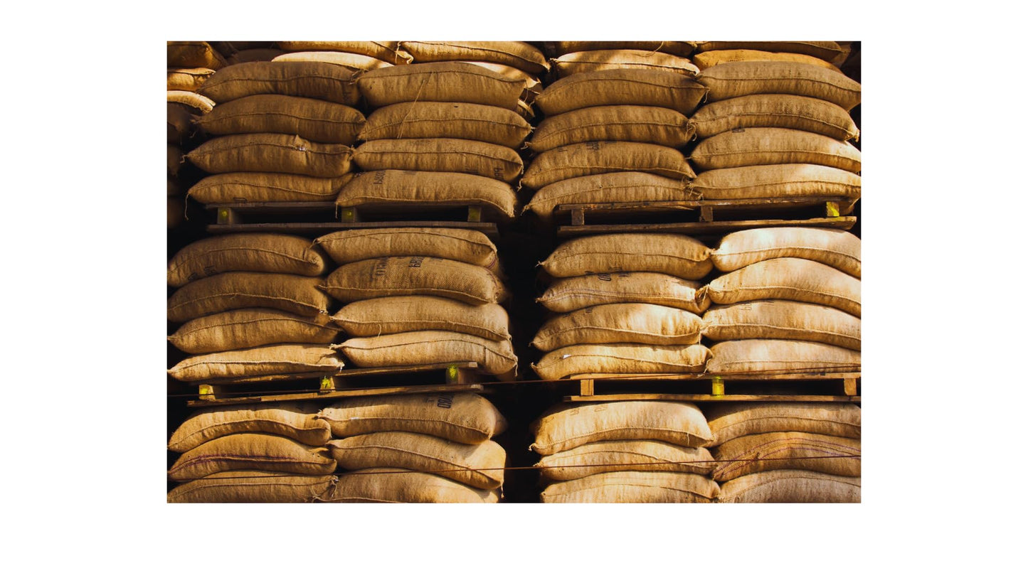Roastika - Premium Green Coffee Bean - Mexico Topacio Shg Ep - 10Lb Single Origin - Unroasted Coffee Bean