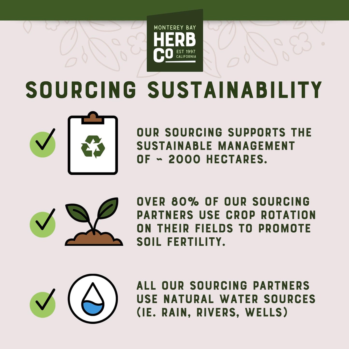 MONTEREY BAY HERB CO. Egyptian Peppermint Tea, Cut & Sifted, 1 LB