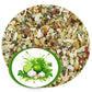 Spice Madness - Guacamole Seasoning - 7 Oz