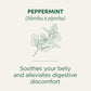 Traditional Medicinals Tea, Organic Peppermint, Soothes Your Belly, Refreshing & Minty, 48 Tea Bags
