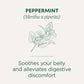 Traditional Medicinals Tea, Organic Peppermint, Soothes Your Belly, Rereshing & Minty, 96 Tea Bags (6 Pack)