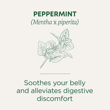 Traditional Medicinals Tea, Organic Peppermint, Soothes Your Belly, Rereshing & Minty, 96 Tea Bags (6 Pack)
