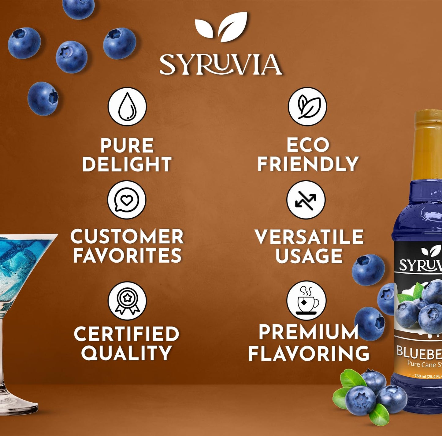 Syruvia Blueberry Syrup For Drinks 25.4 Ounces Blueberry Flavoring Syrup With Pump
