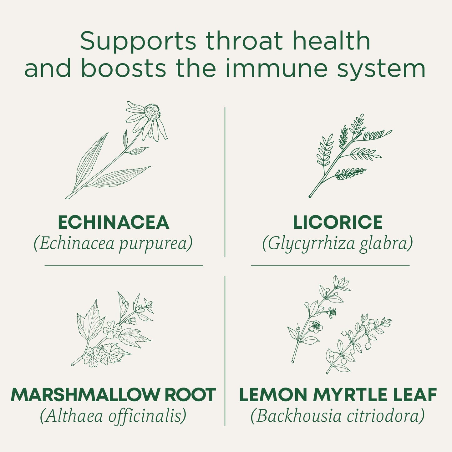 Traditional Medicinals Organic Throat Coat Tea, Lemon Echinacea, 96 Tea Bags (6 Pack)