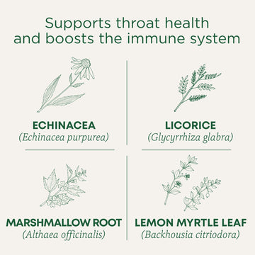 Traditional Medicinals Organic Throat Coat Tea, Lemon Echinacea, 96 Tea Bags (6 Pack)