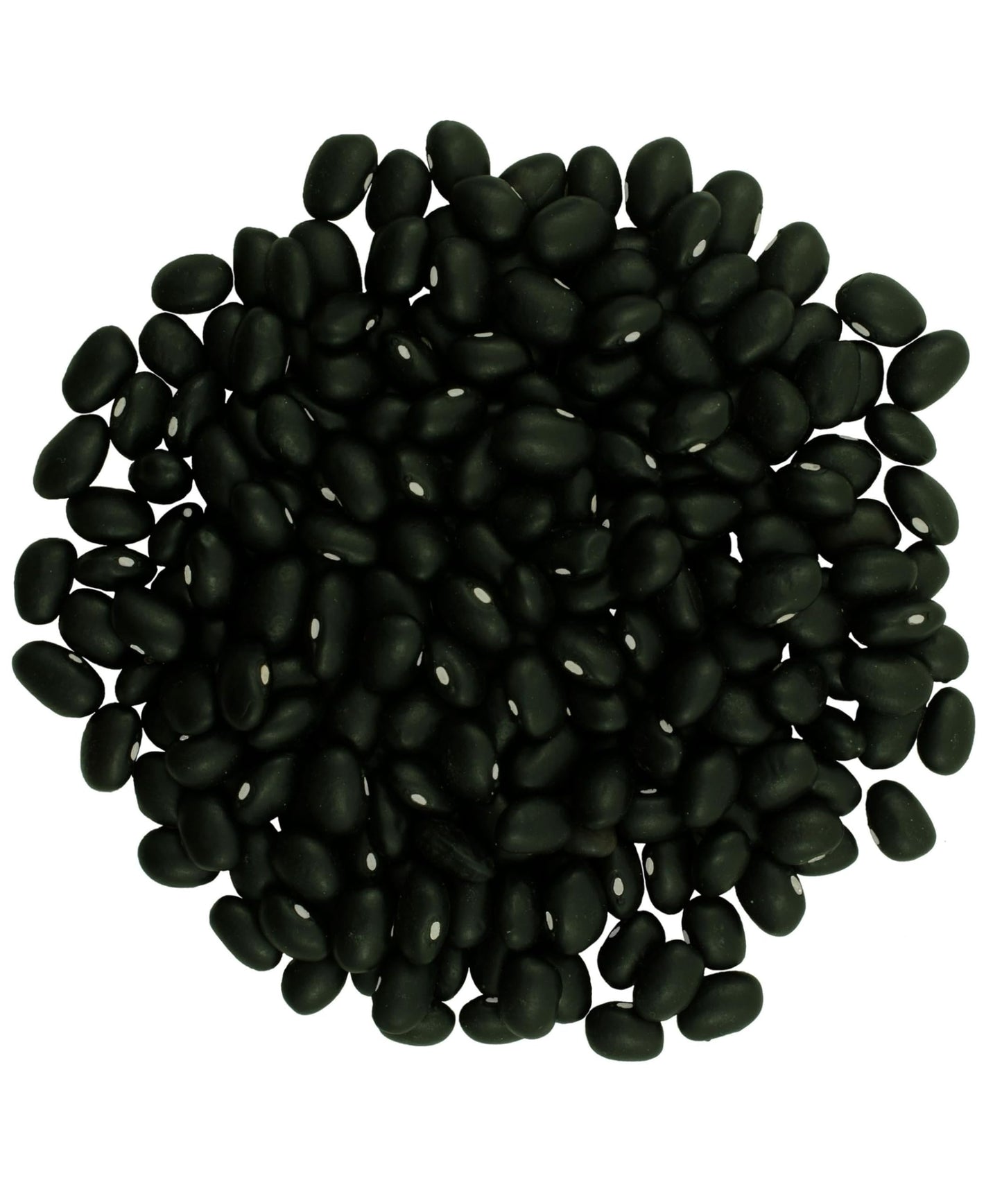 Washington State Black Beans | 4 Lb Linen Drawstring Bag | Non-Gmo | Vegan | Kosher | Non-Irradiated | Dry Black Beans | Frijole