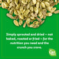 Go Raw Organic Sprouted Sea Salt & Cracked Pepper Salad Toppers, 4 oz, 6 Pack, Pumpkin & Sunflower Seeds, Keto, Kosher