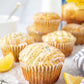 Martha White Muffin Mix Sampler Package with Favorite Banana Nut - 6 Pack of Various Flavors