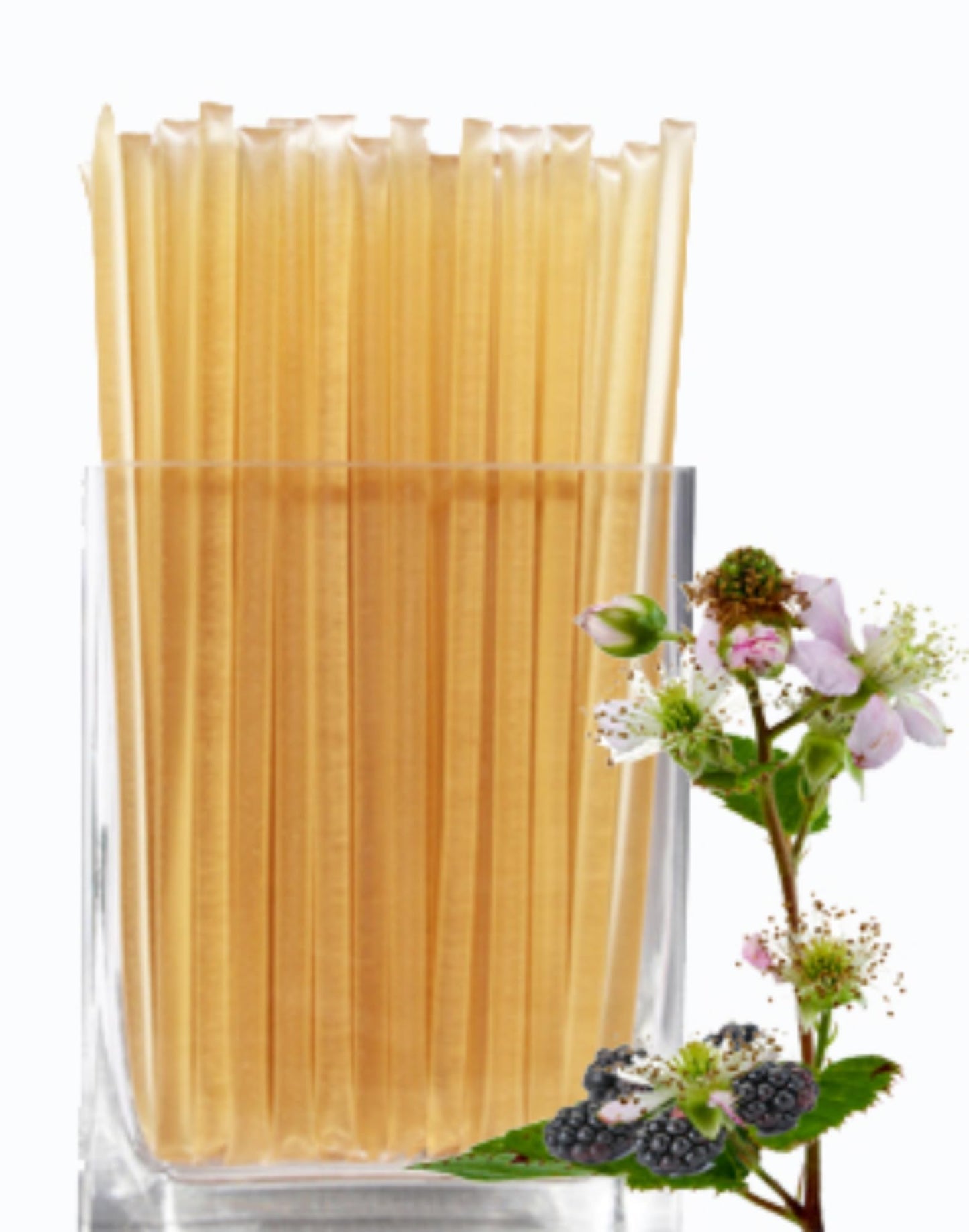 By The Cup Blackberry Blossom Honey Sticks (Pack Of 50)