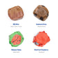 Taffy Shop Kansas City Favorites, Salt Water Taffy - Gourmet Soft Chewy Candy, Variety Pack, Bulk Sweet Snack, Fresh Gift & Glut