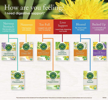 Traditional Medicinals Organic Chamomile Herbal Tea, Supports Healthy Digestion, (Pack of 1) - 16 Tea Bags