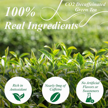 Wt Weetee Decaf Green Tea Bags, 100 Count Co2-Decaffeinated Green Tea, Drink All Day | Super Antioxidant | Resealable Kraft Bag