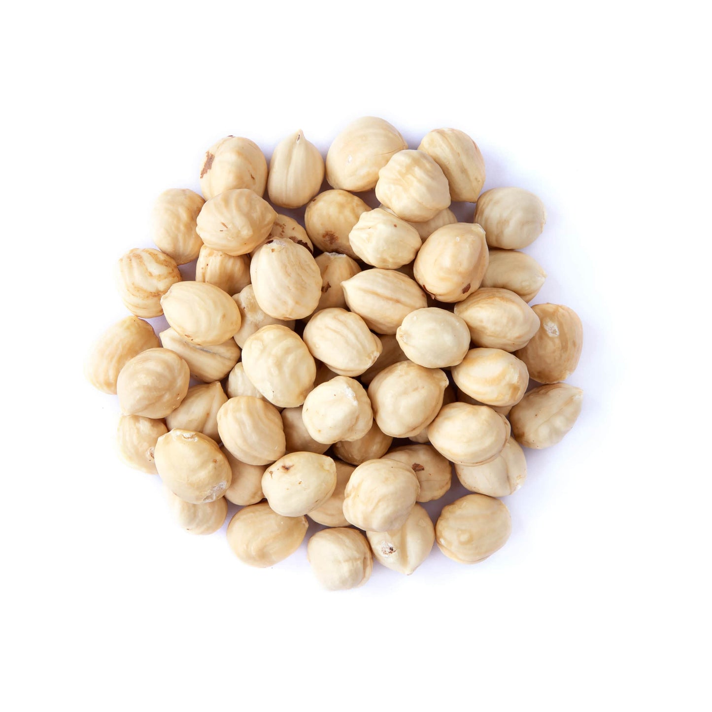Organic Raw Blanched Hazelnuts, 8 Ounces - Non-Gmo Filberts, No Skin, Unsalted, Unroasted, Vegan, Bulk Nuts. Good Source Of Prot