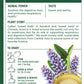 Traditional Medicinals Organic Licorice Root Herbal Tea, 16 Count