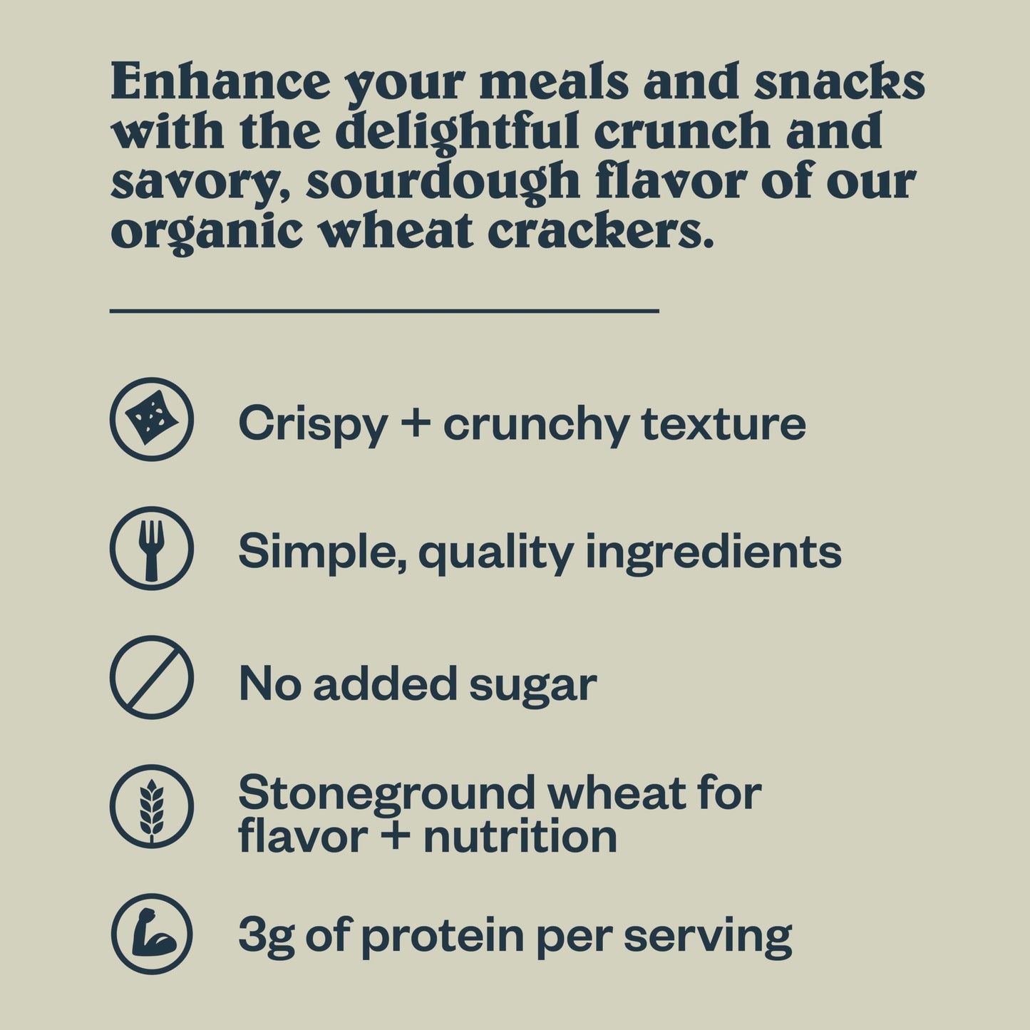 Patagonia Provisions - Multiseed Crackers - Certified Organic Crackers - Non-GMO, Plant-Based, No Added Sugar (6 Pack)