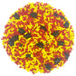 Mystic Sprinkles Graduation Day Sprinkles Mixes (Graduation Day! Red & Yellow Sprinkle Mix 3.8Oz)