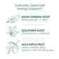 Traditional Medicinals Tea, Organic Stress Ease Focus, With Adaptogens, Everyday Balanced Energy, Ginseng Wild Apple Mint, 16 Te