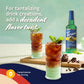 Torani Sugar Free Coffee Syrup, Mint Chocolate Chip Flavoring For Drinks, Zero Calorie, Pump Included, 25.4 Fl Oz
