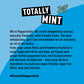 Peppersmith 100% Xylitol Mints, Eucalyptus and Fine English Peppermint, 15 g (Box of 12, Total 300 Mints)