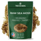 TrueSeaMoss Sea Moss Raw Wild Crafted Seamoss Raw - 100% Irish Sea Moss Raw (Pack of 1) - Dried Sea Moss Advanced Drink - Clean and Sundried - Vegan Sea Moss (1Pound) (16oz)
