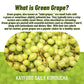 Kayfood-Kombucha-Greengrape-Garden-Daily 20 Sticks With Gift Bottle Zero Sugar, Diet, Gut Healthy Sparkling Beverage, Fermented