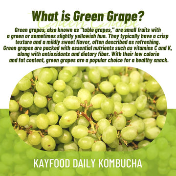 Kayfood-Kombucha-Greengrape-Garden-Daily 20 Sticks With Gift Bottle Zero Sugar, Diet, Gut Healthy Sparkling Beverage, Fermented