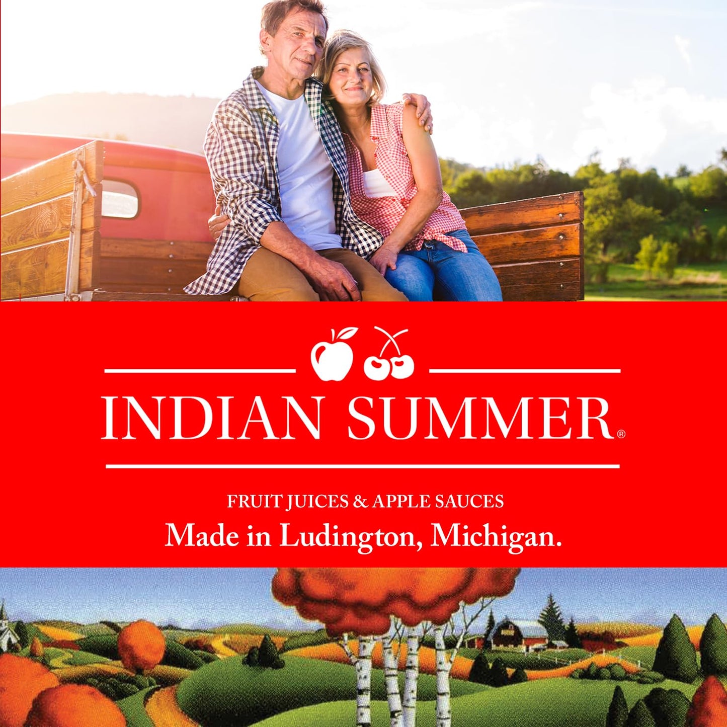 INDIAN SUMMER Premium Chunky Applesauce, 24 Ounce (Pack of 2), Made from US Apples
