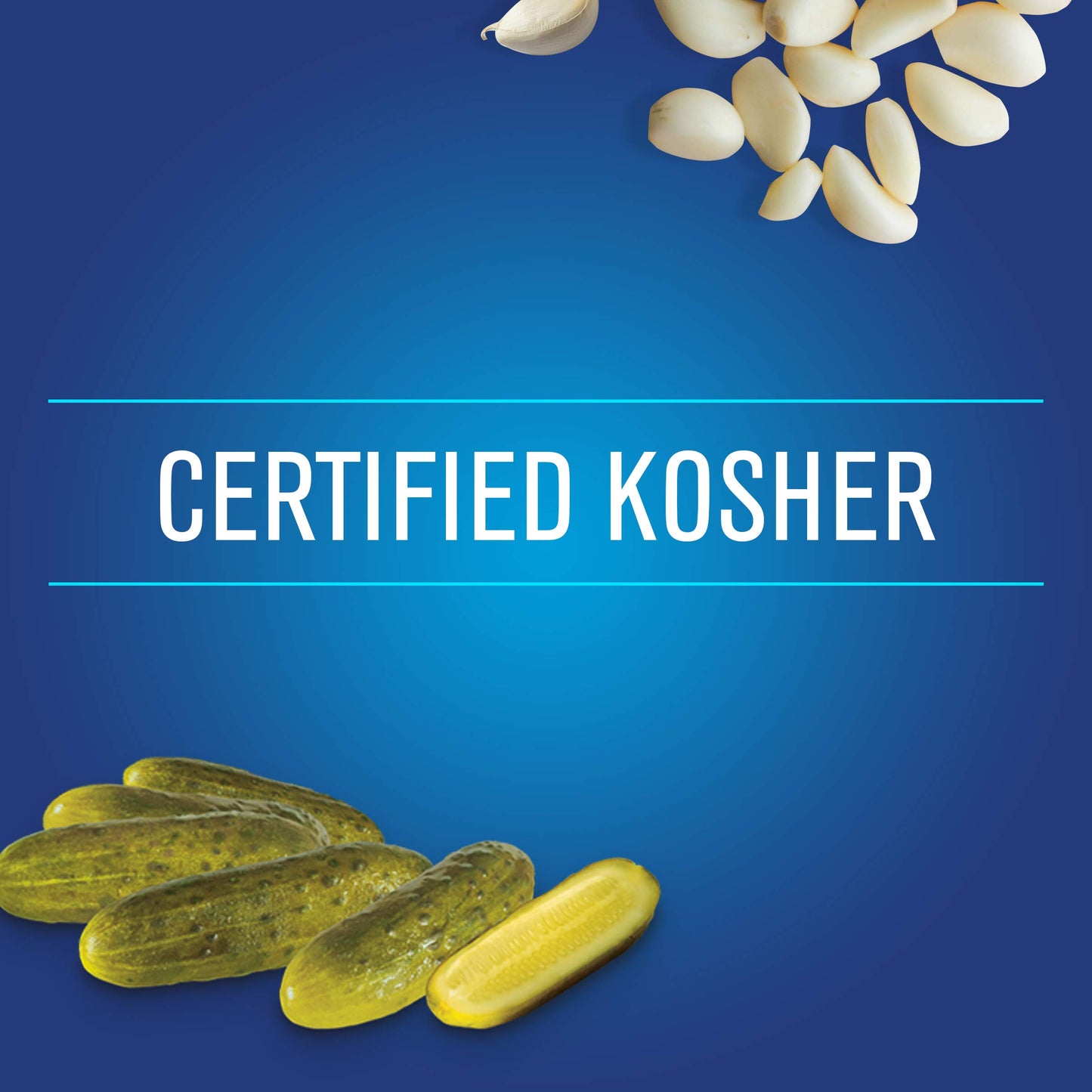 Vlasic Ovals Hamburger Dill Pickle Chips, Keto Friendly, 24 FL OZ