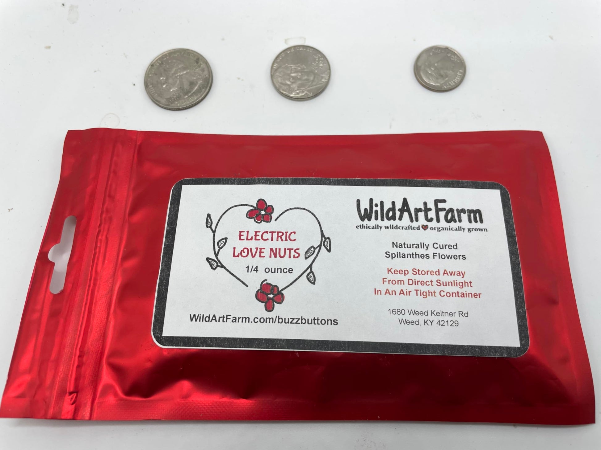 Buzz Buttons aka Spilanthes, Holiday Themed, Naturally Cured, SMALL size Edible Flower Gifts (1/4 oz Love Nuts)
