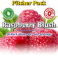 GramZero Sugar Free Raspberry Blush Drink Mix, 10 Count Pitcher Pack, Zero Calorie, Stevia Sweetened for Nutrition Clubs