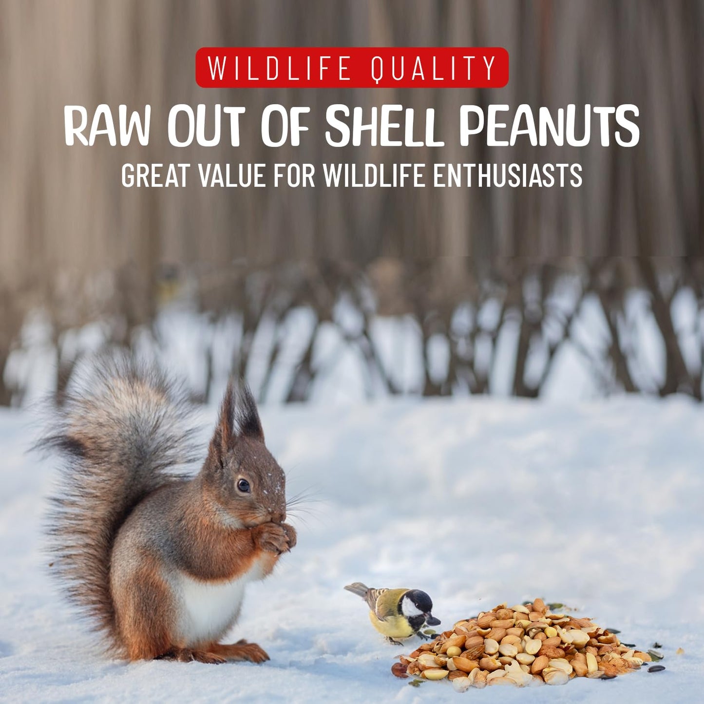 Sneaky Mango enhanced Quality Raw Out of Shell Peanuts for Wildlife - 45 Pounds - Shelled Peanuts- Grown in The USA  for Squirrels  Deer  Birds