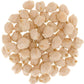 Certified Glyphosate Residue Free Chickpeas | Garbanzo Beans | 10 Lbs | Family Farmed In Washington State | Non-Gmo Project Veri