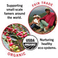 Peace Coffee Organic Birchwood Breakfast Blend Coffee, 12 OZ