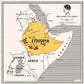 Bacha Coffee | Yirgacheffe Decaffeinated Ethiopia Single Origin, 100% Arabica Beans, Medium Dark Roast, X12 Individually Wrapped